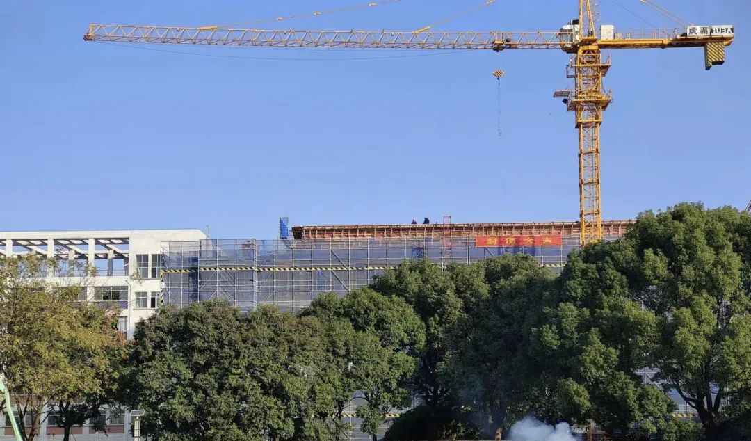 1701407760447509.jpg 2.jpg