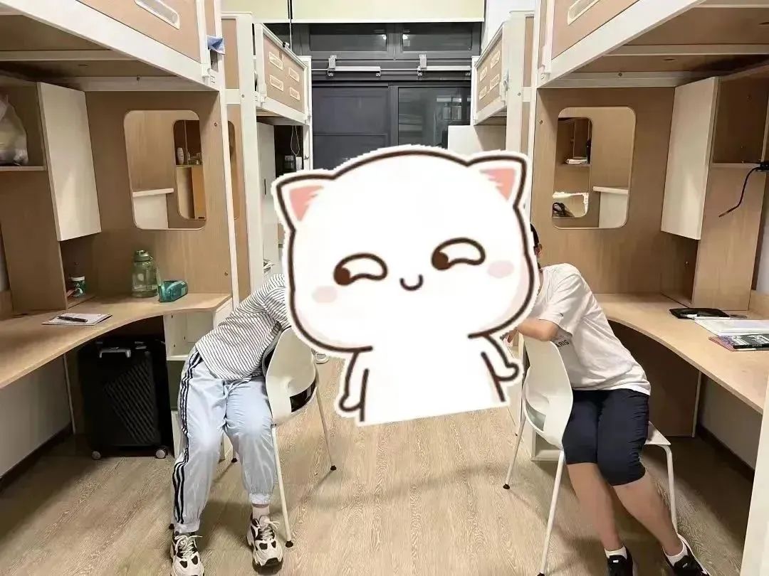 1754877898534676.jpeg 10005.jpeg