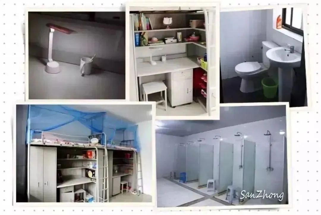 1754878058749627.jpeg 10013.jpeg