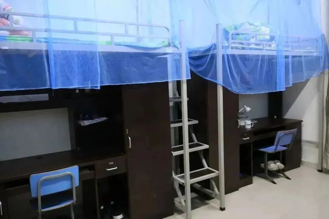 1754878150467025.jpeg 10017.jpeg