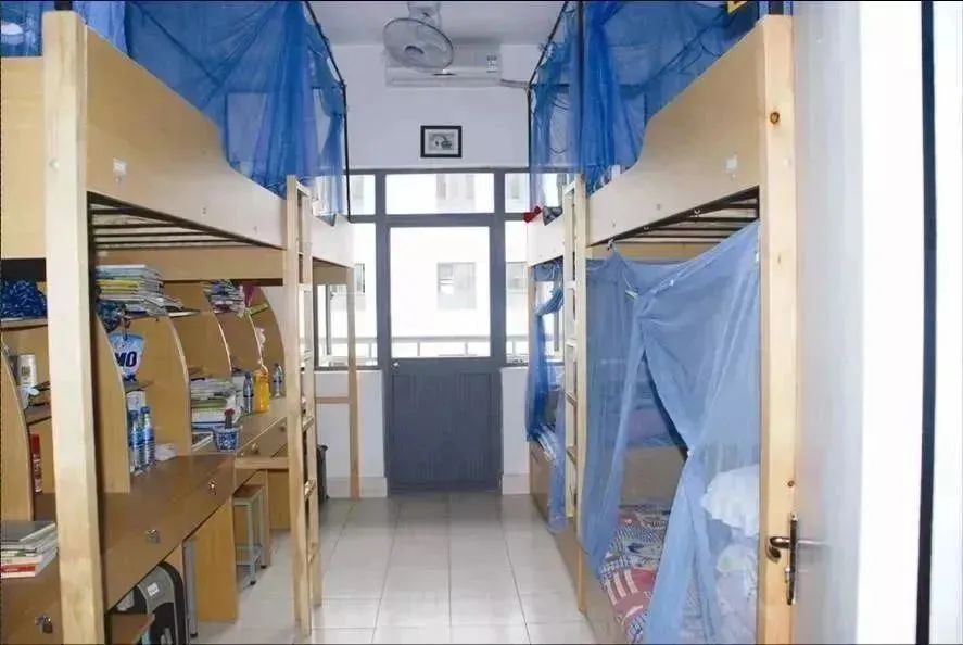 1754878466560302.jpeg 10038.jpeg