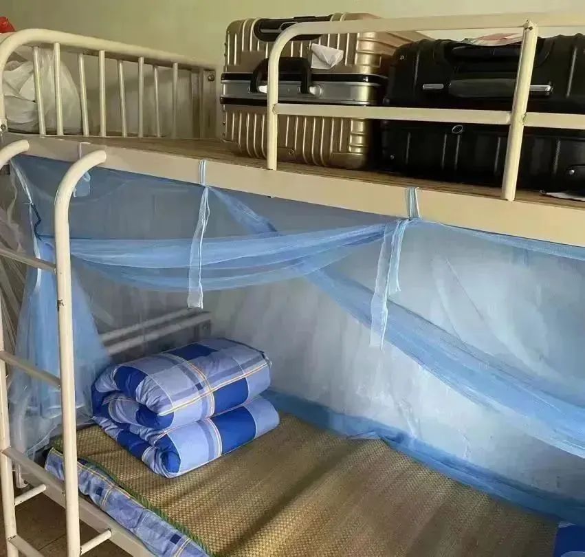 1754878547525994.jpeg 10043.jpeg