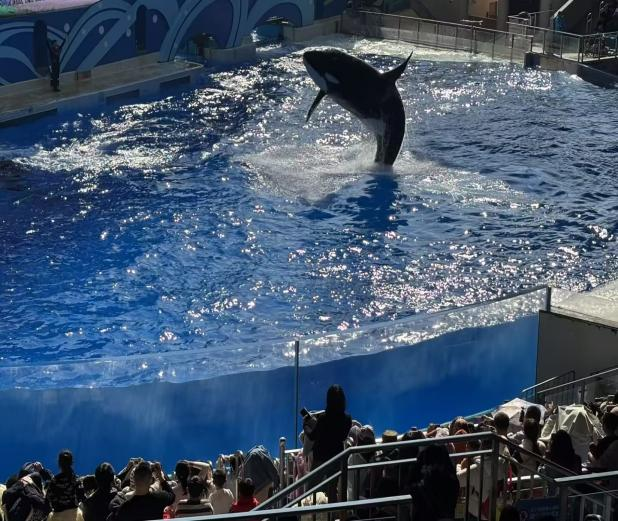 1768183889576448.png 23d1e02f3affaa15759bd0111ba27aca-sz_585726.png